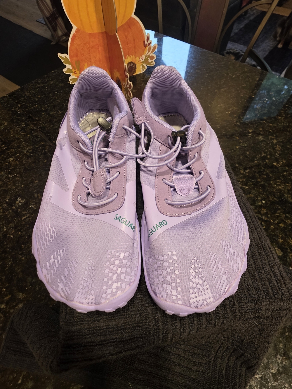 Saguaro Women's Lavender Athletic Sneakers - Lightweight Support